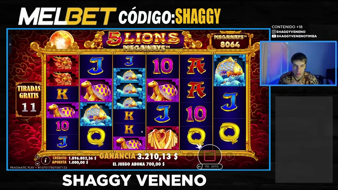 5 Lions Megaways