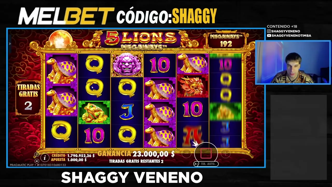 5 Lions Megaways